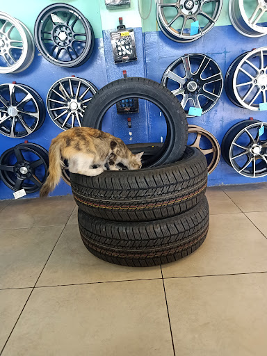 Michelin @ Jalan Gangsa